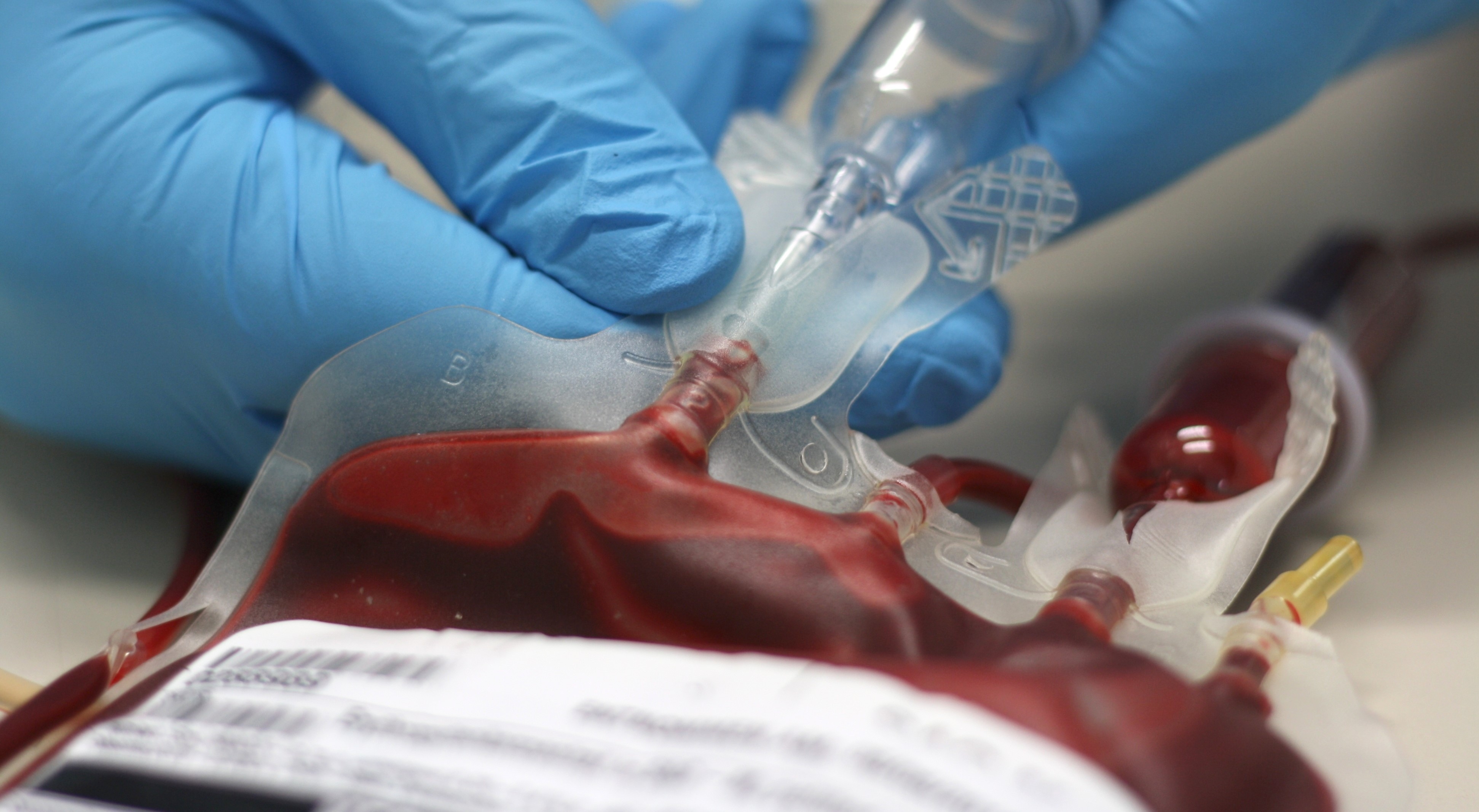 Gesellschaft der Ärzte